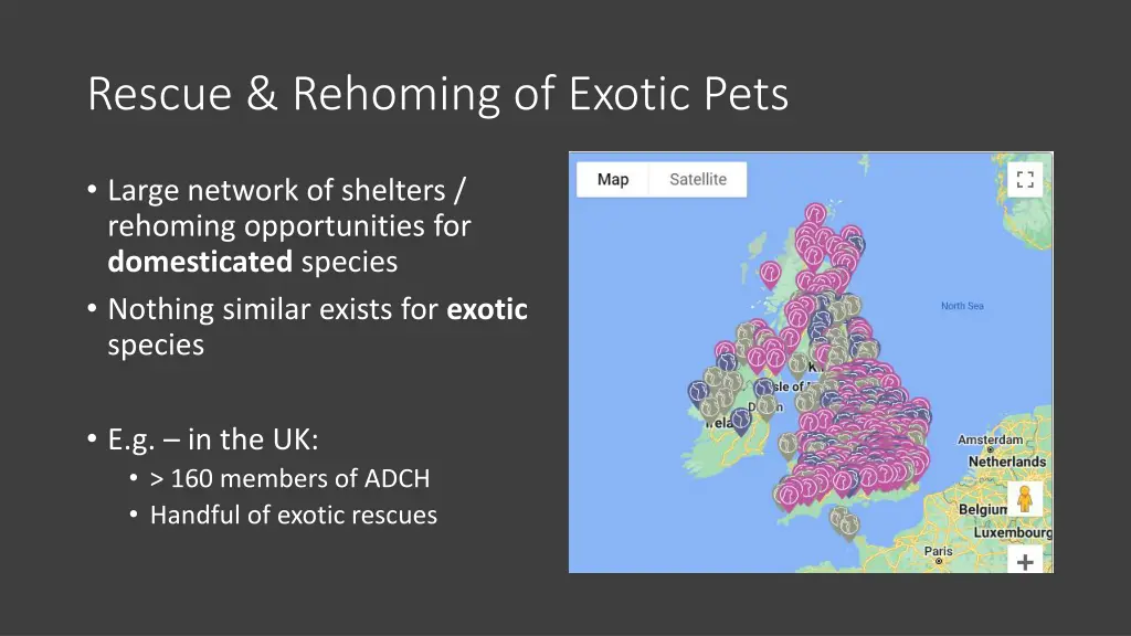 rescue rehoming of exotic pets