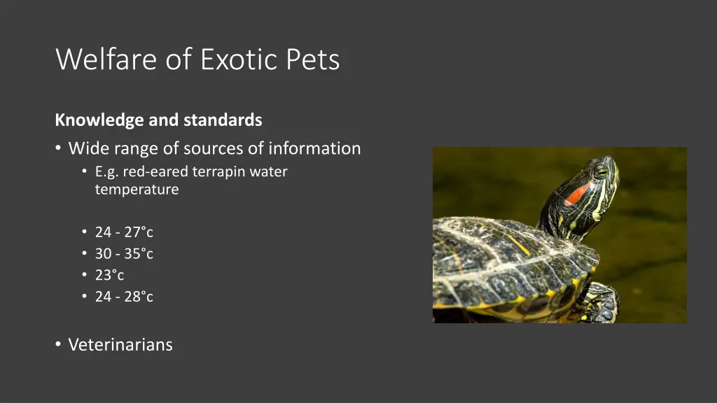 welfare of exotic pets 3