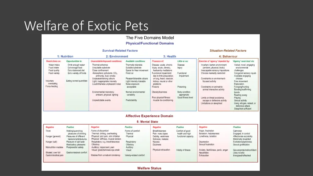 welfare of exotic pets