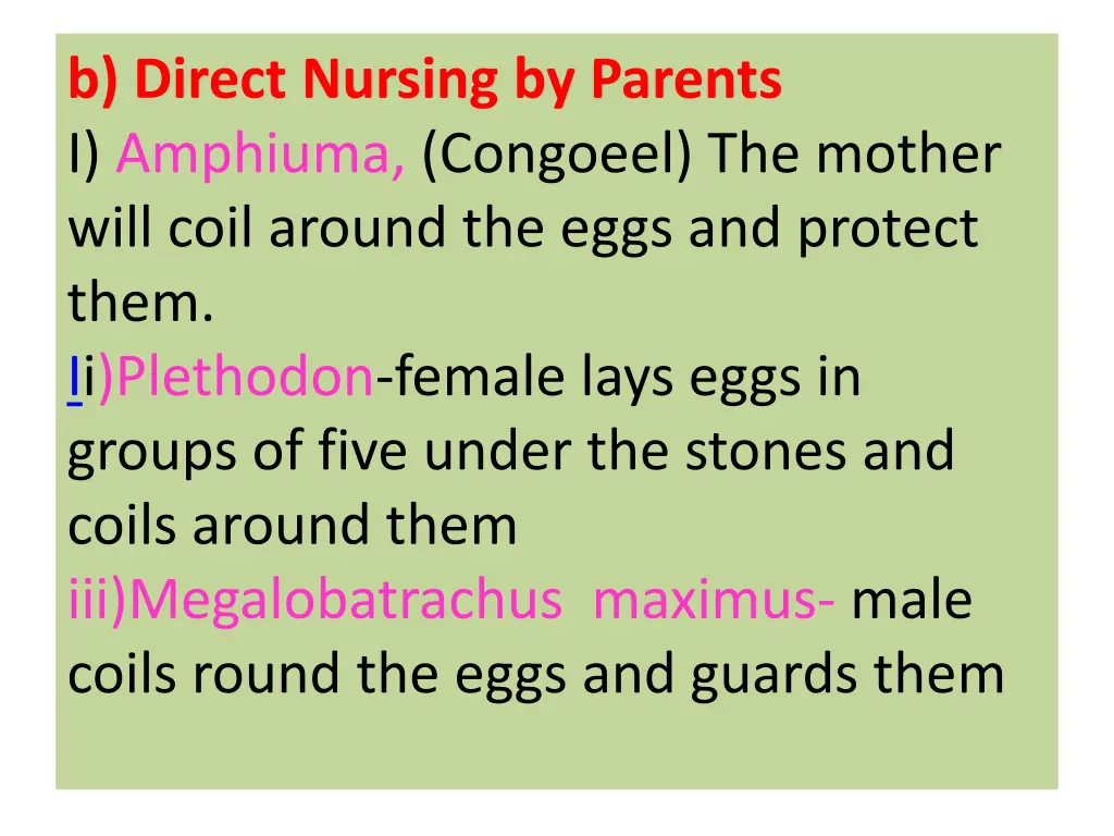 b direct nursing by parents i amphiuma congoeel