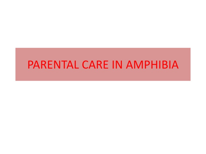 parental care in amphibia