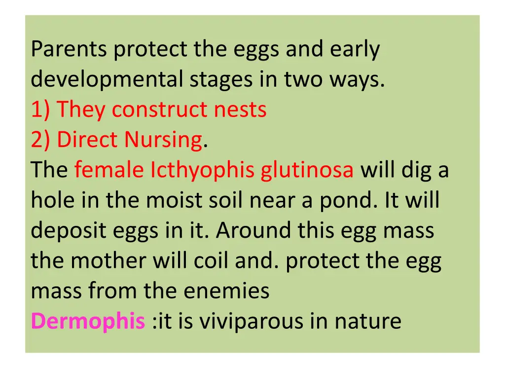 parents protect the eggs and early developmental
