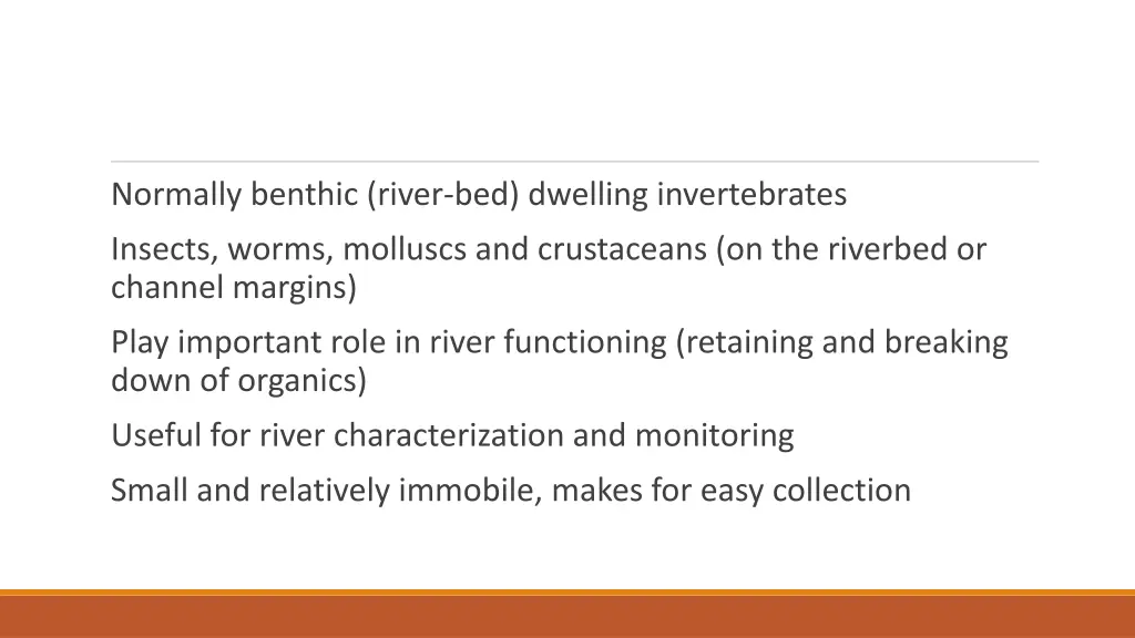 normally benthic river bed dwelling invertebrates