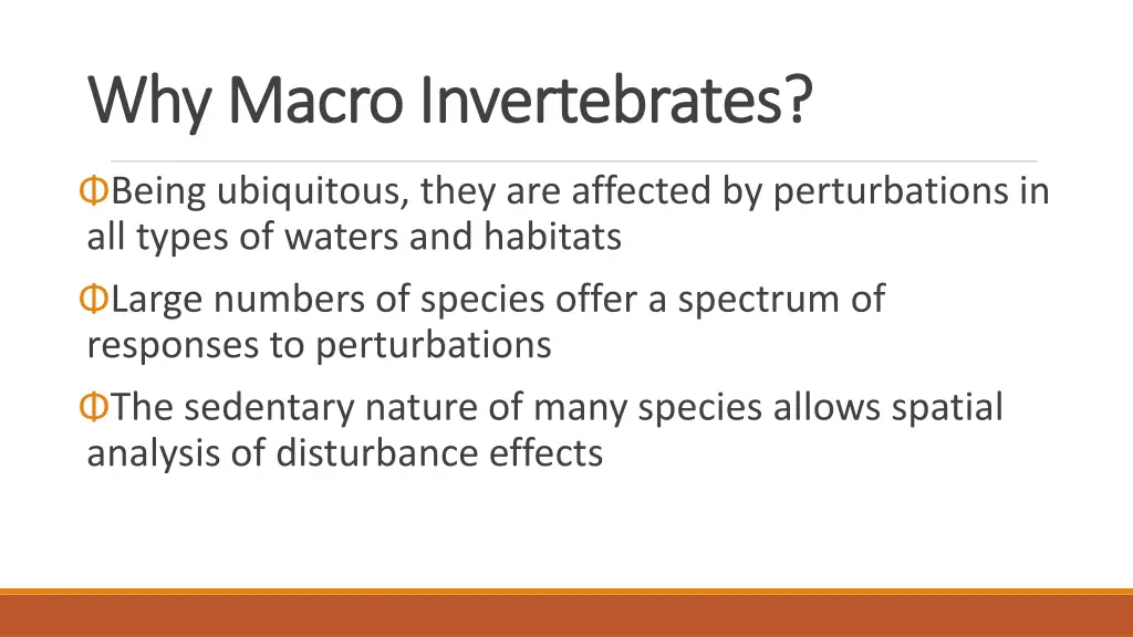 why macro invertebrates why macro invertebrates