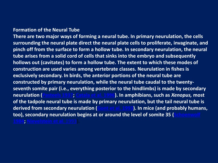 formation of the neural tube there are two major