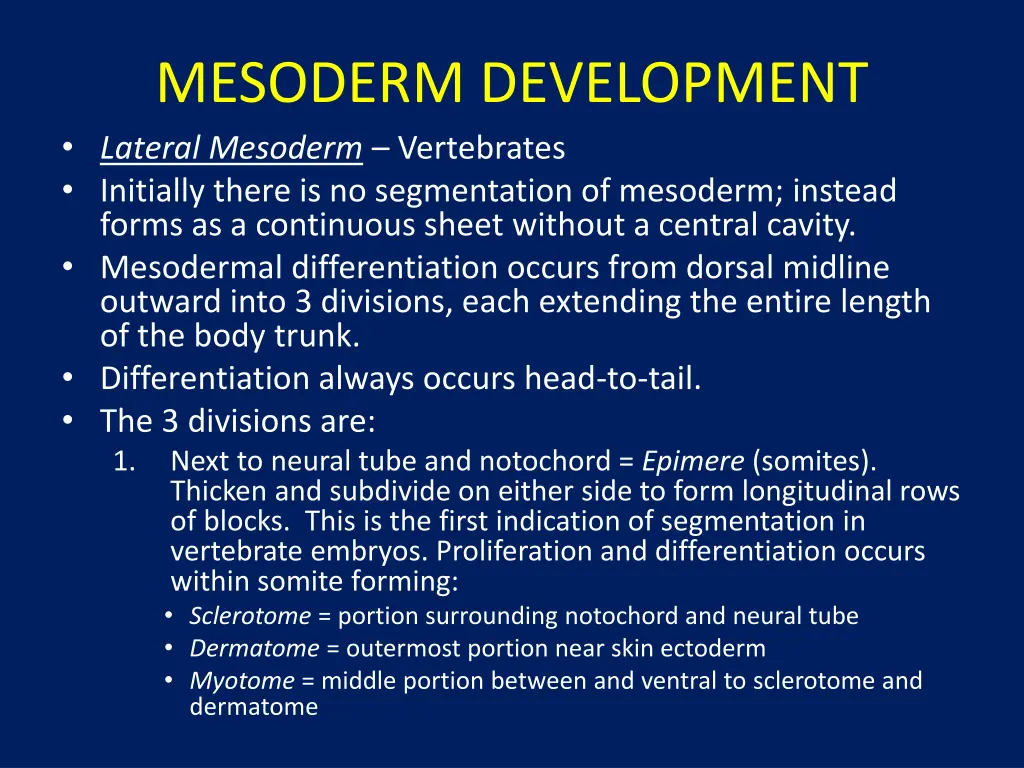 mesoderm development lateral mesoderm vertebrates