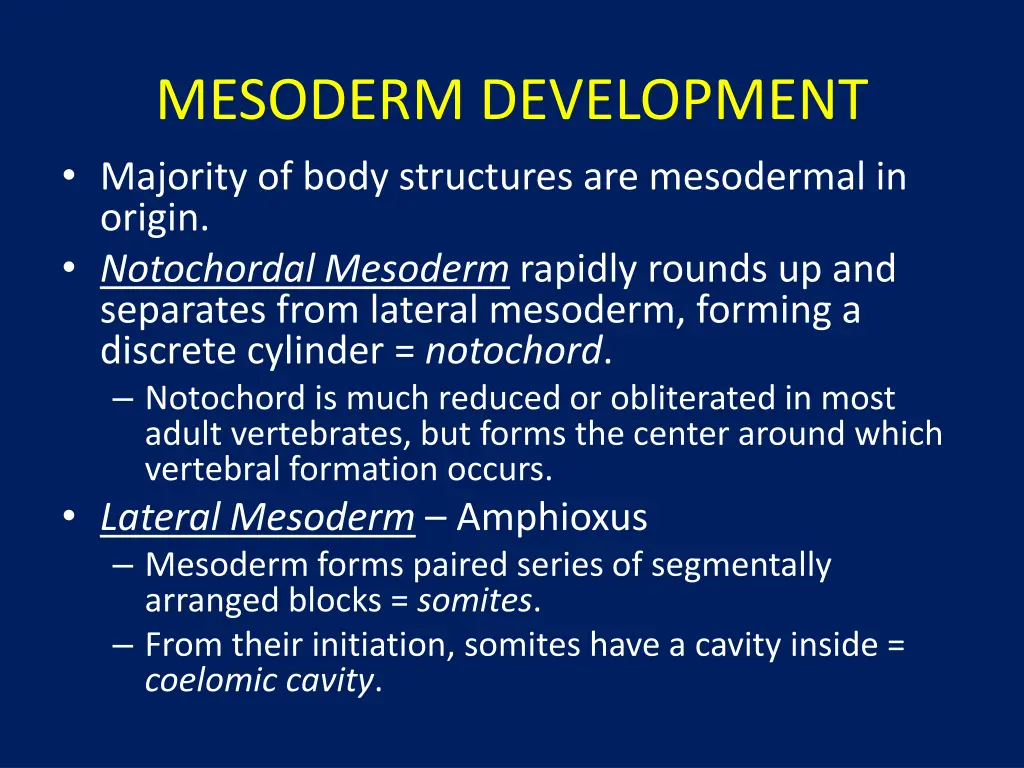 mesoderm development majority of body structures