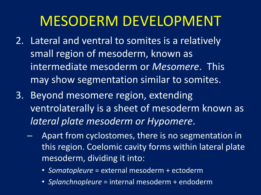 mesoderm development