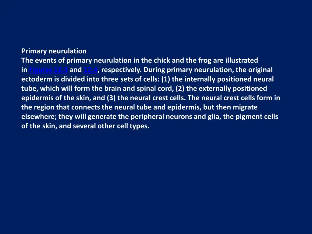 primary neurulation the events of primary