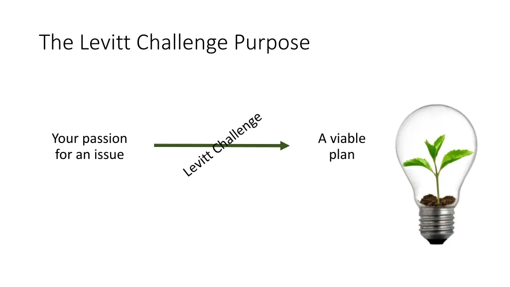 the levitt challenge purpose