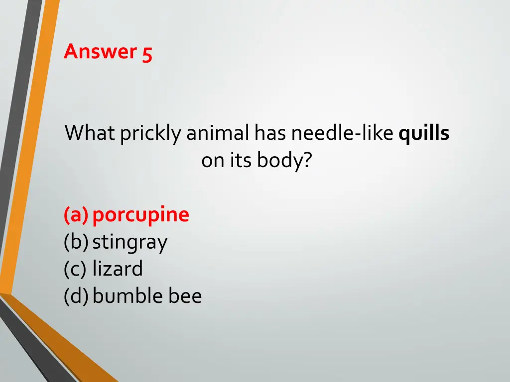 answer 5