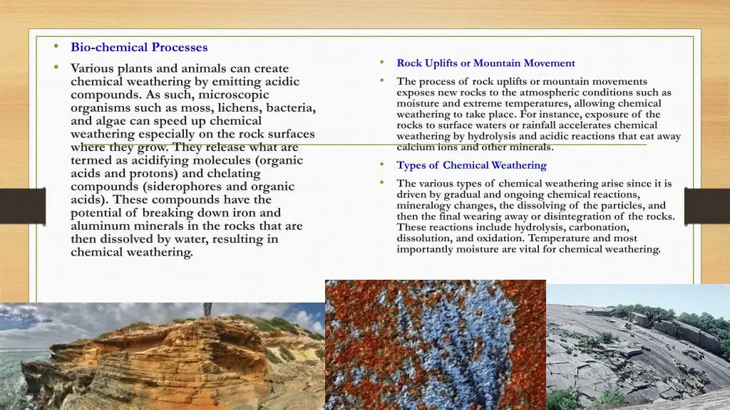 bio chemical processes various plants and animals