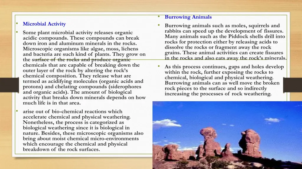 burrowing animals burrowing animals such as moles