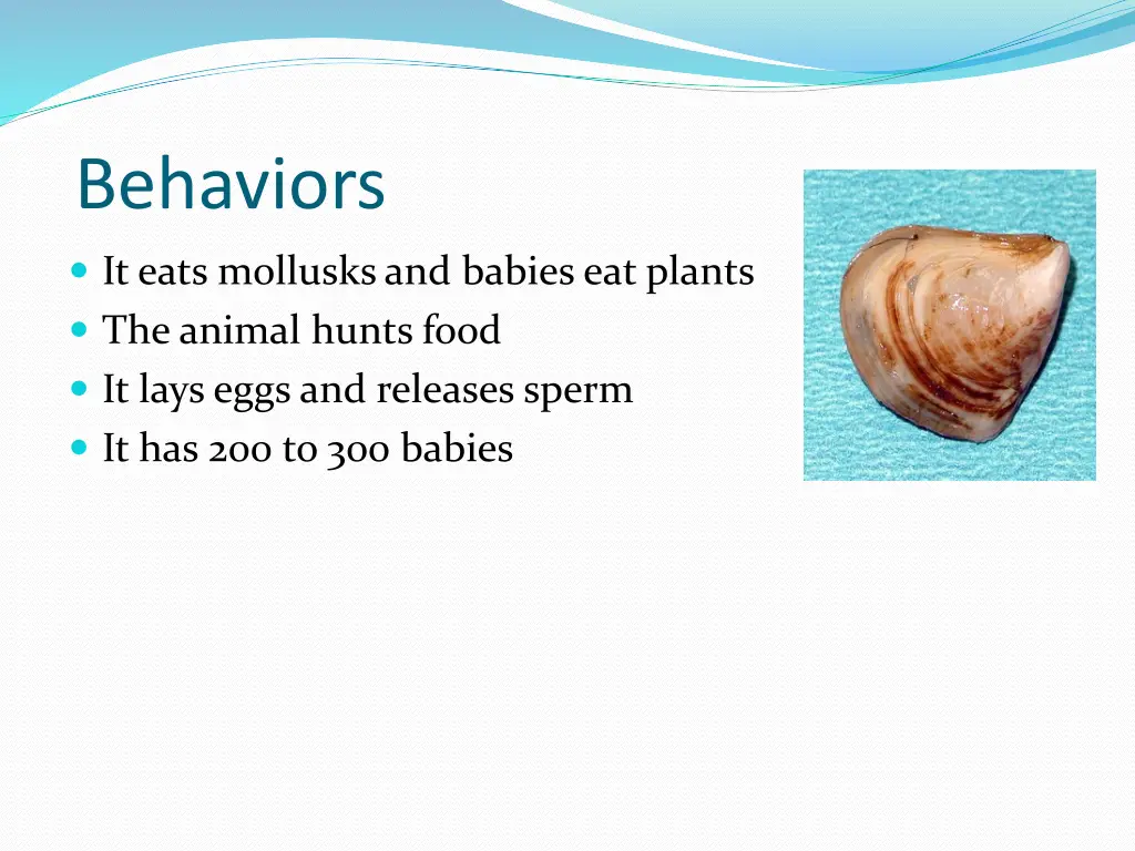 behaviors