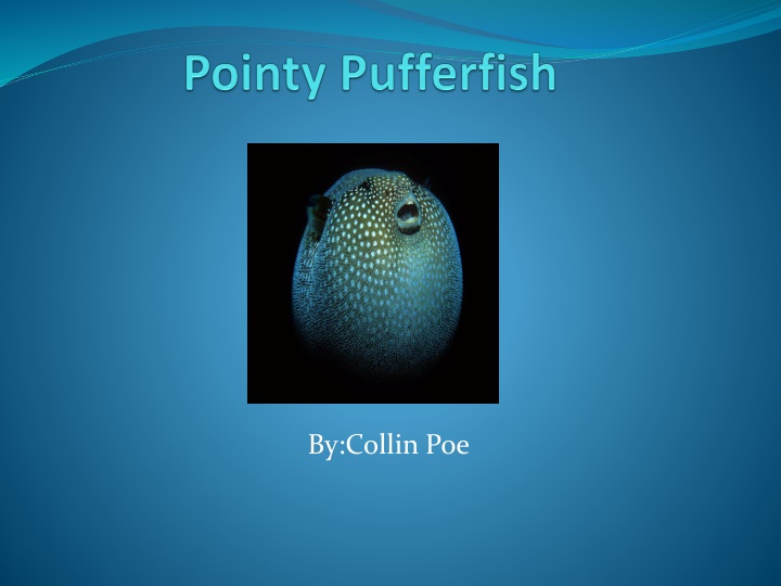by collin poe