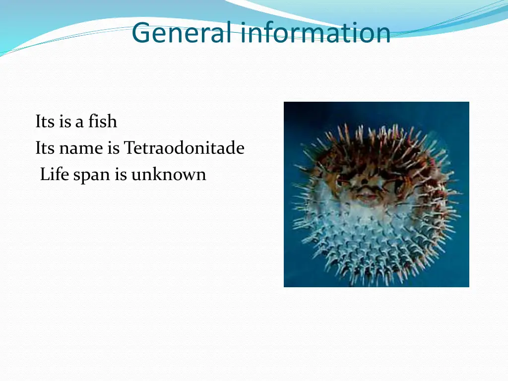 general information
