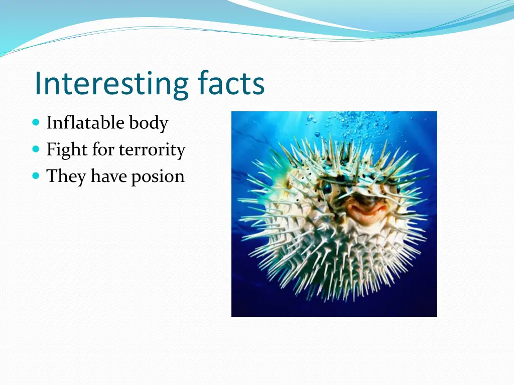 interesting facts
