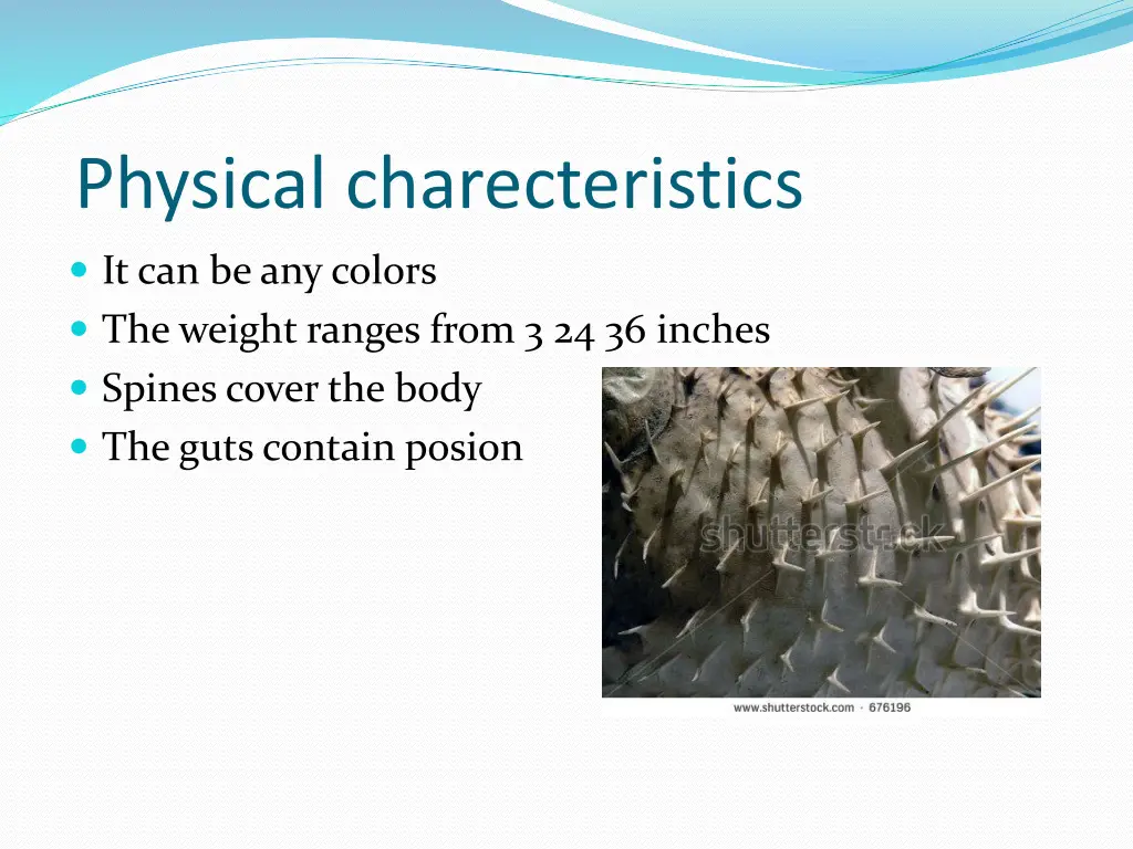 physical charecteristics