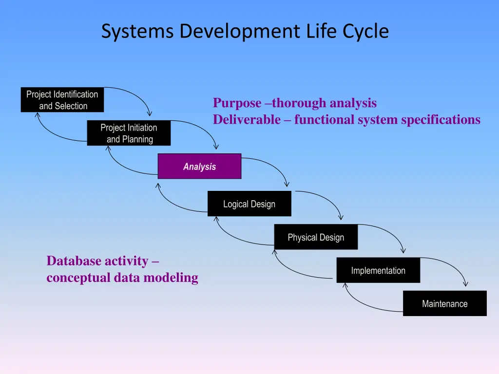 systems development life cycle 3