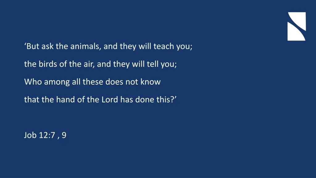but ask the animals and they will teach you