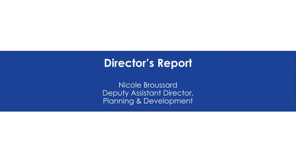 director s report