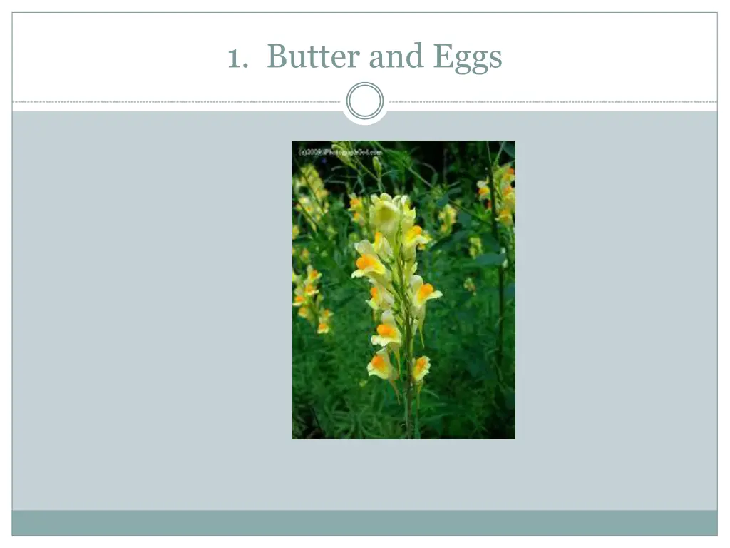 1 butter and eggs