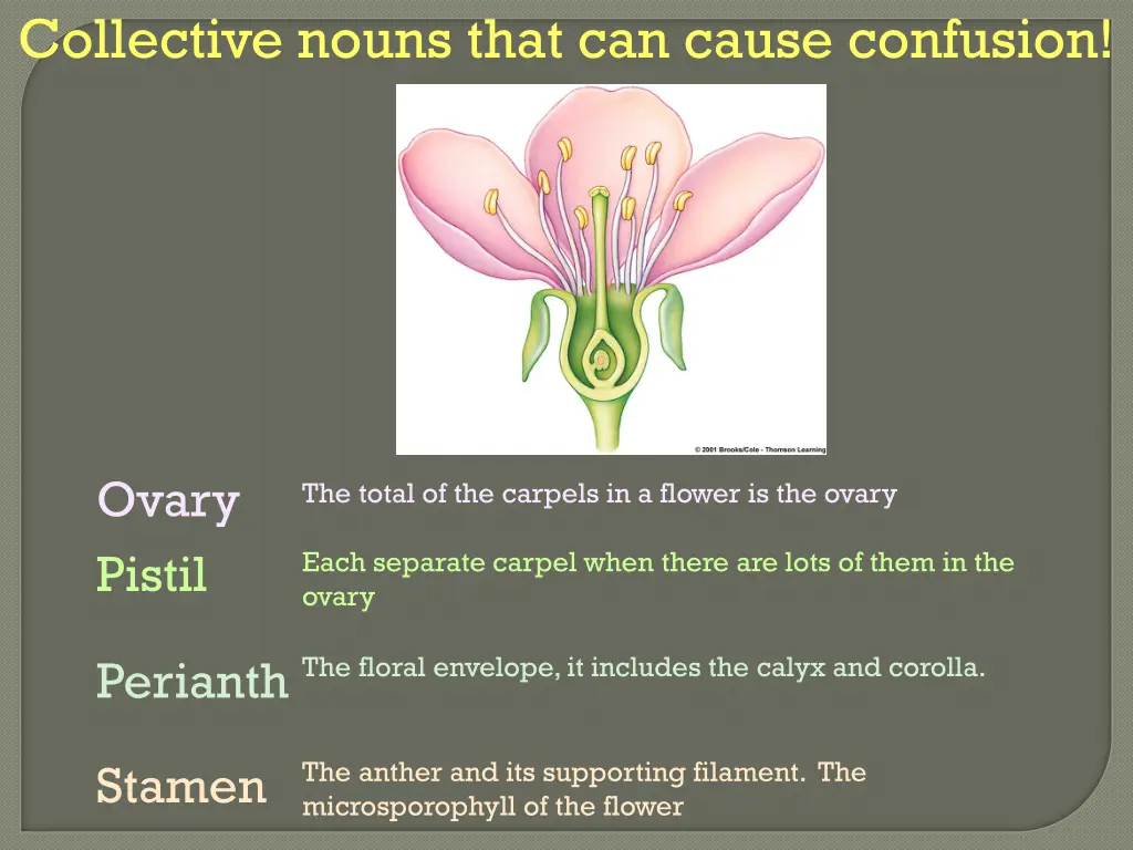 collective nouns that can cause confusion