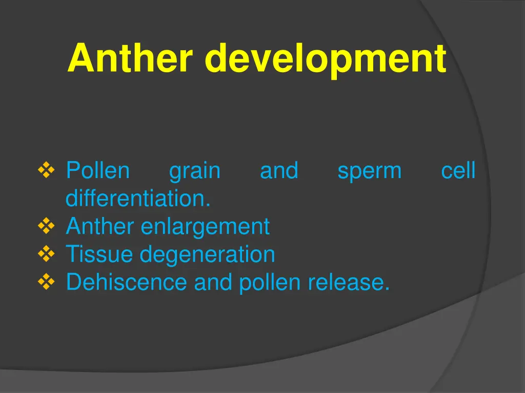 anther development