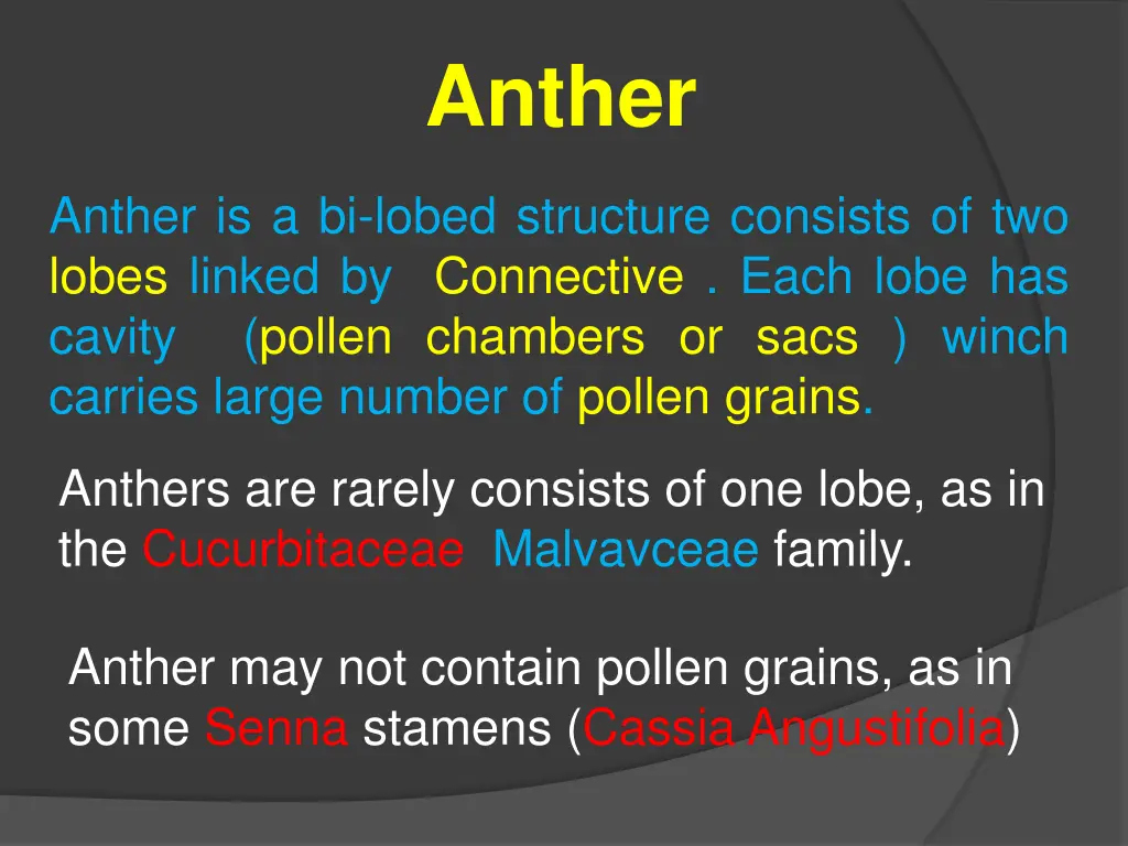 anther