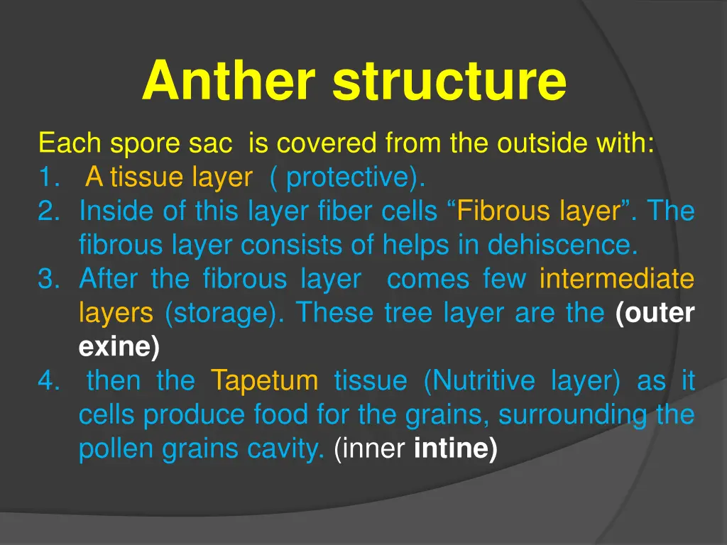 anther structure