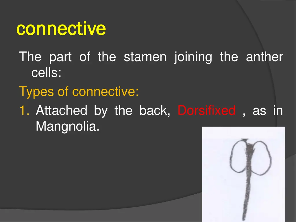 connective connective