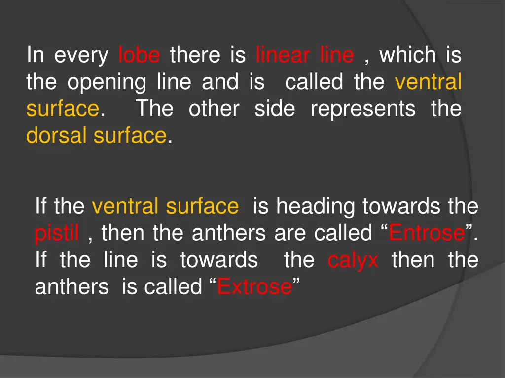 in every lobe there is linear line which