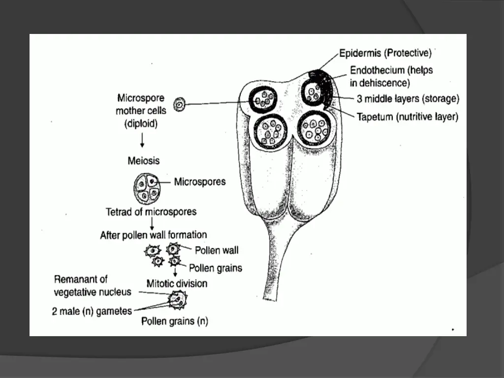 slide12
