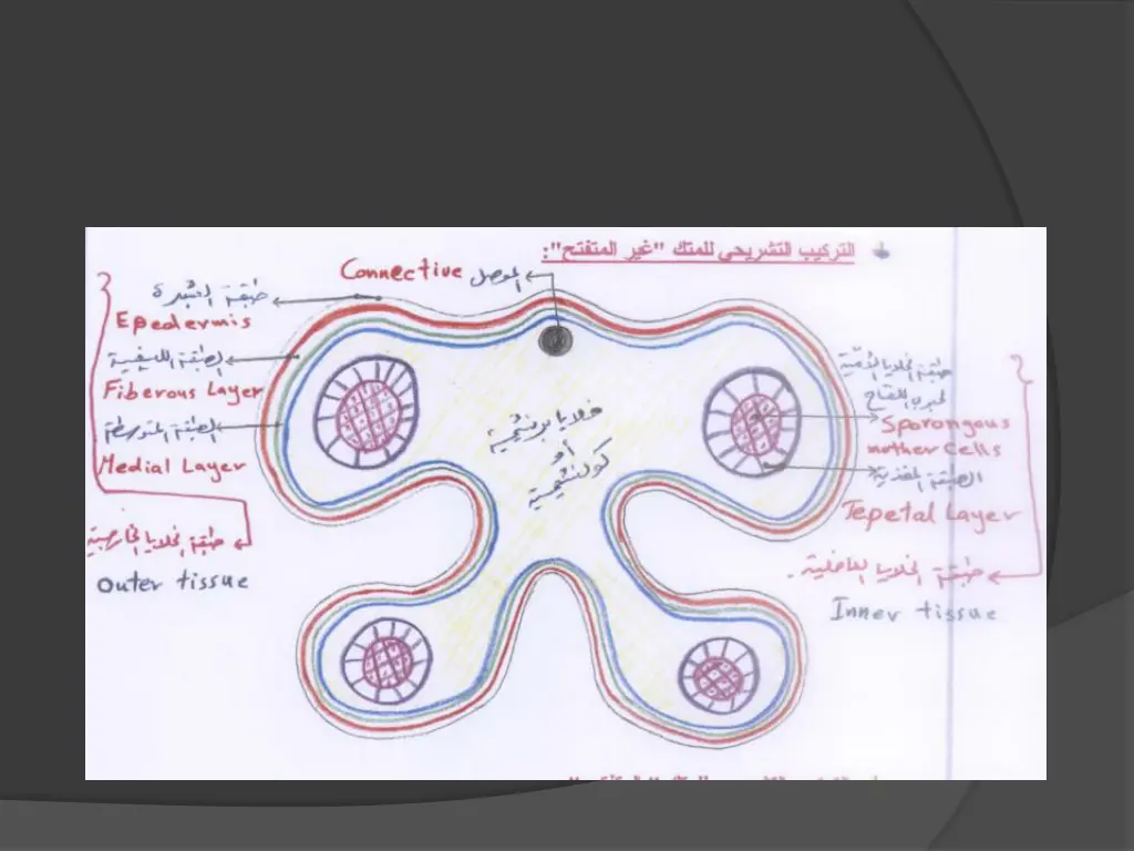slide14
