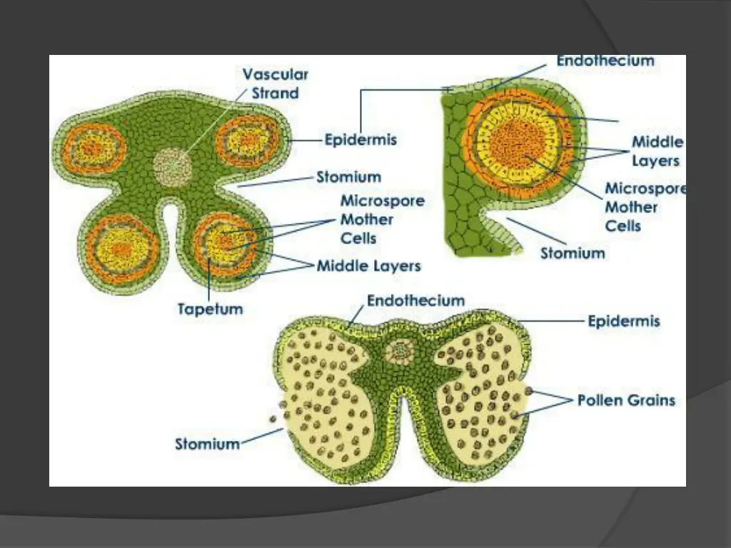 slide16