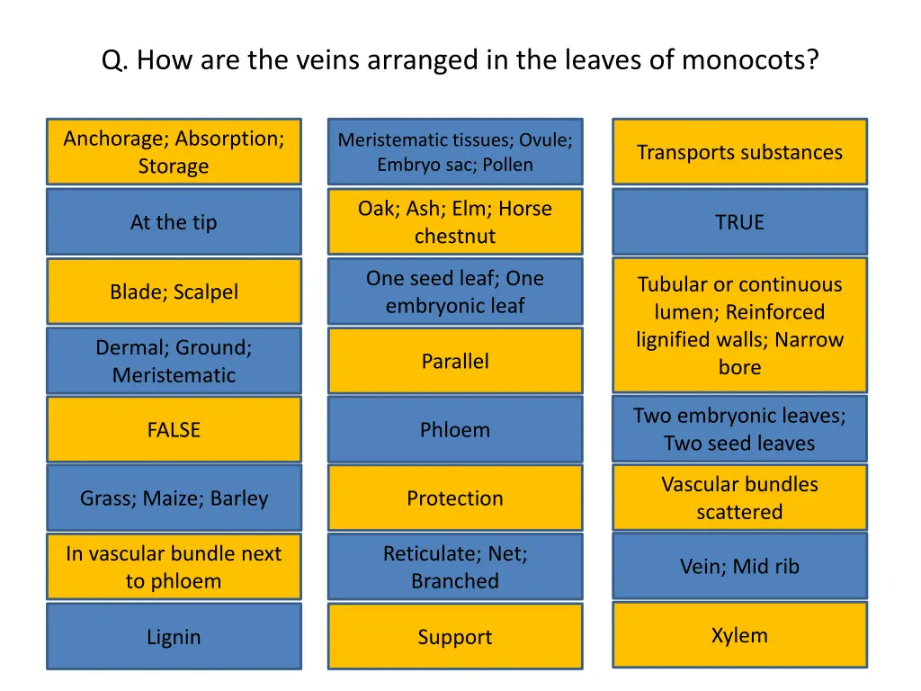 q how are the veins arranged in the leaves