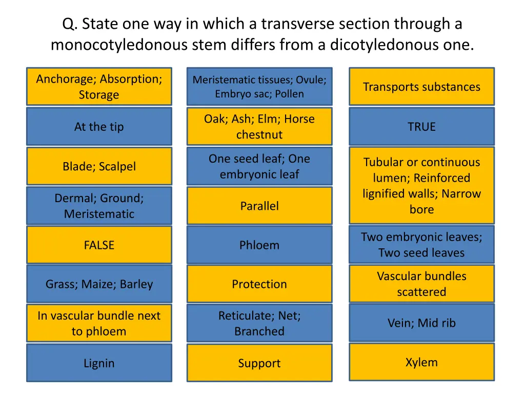 q state one way in which a transverse section