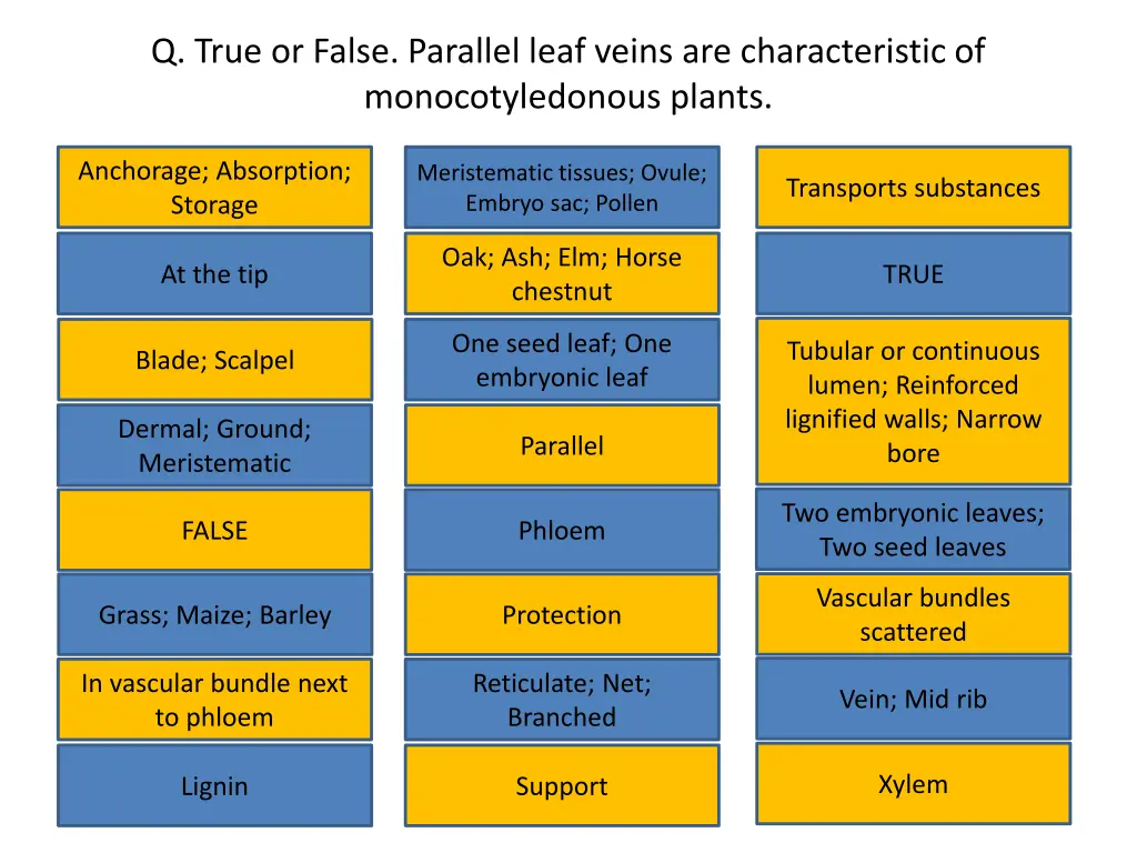 q true or false parallel leaf veins