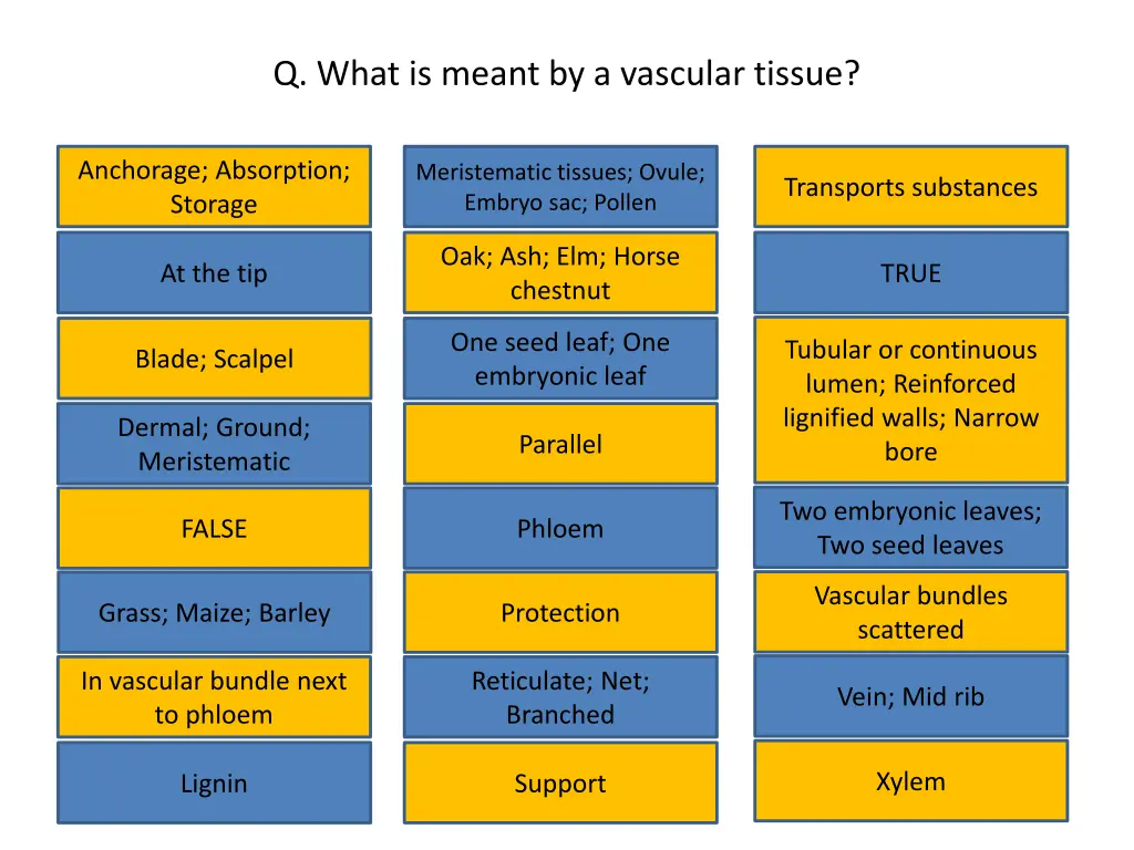 q what is meant by a vascular tissue