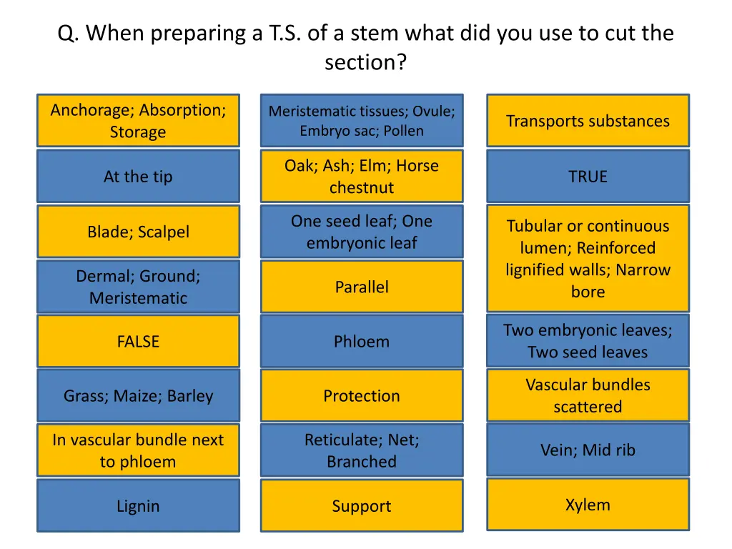 q when preparing a t s of a stem what