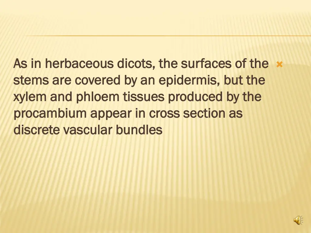 as in herbaceous as in herbaceous dicots stems