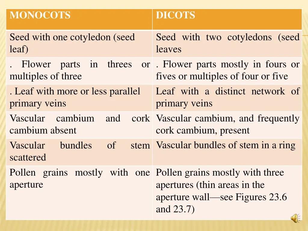 monocots