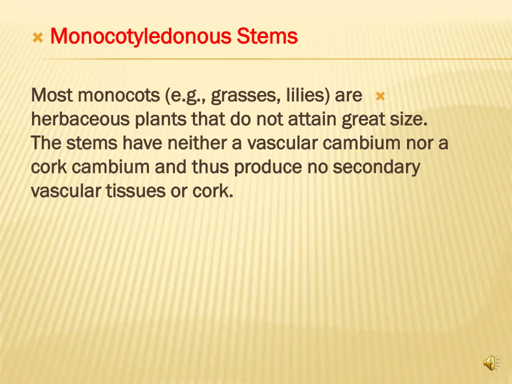 monocotyledonous stems monocotyledonous stems