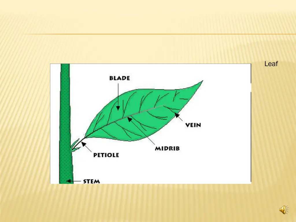 slide15