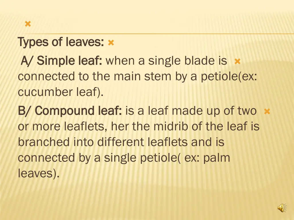 slide16