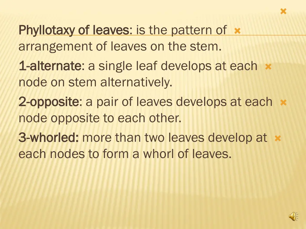 slide20