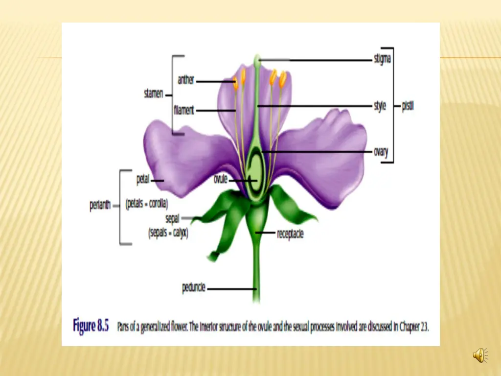 slide26