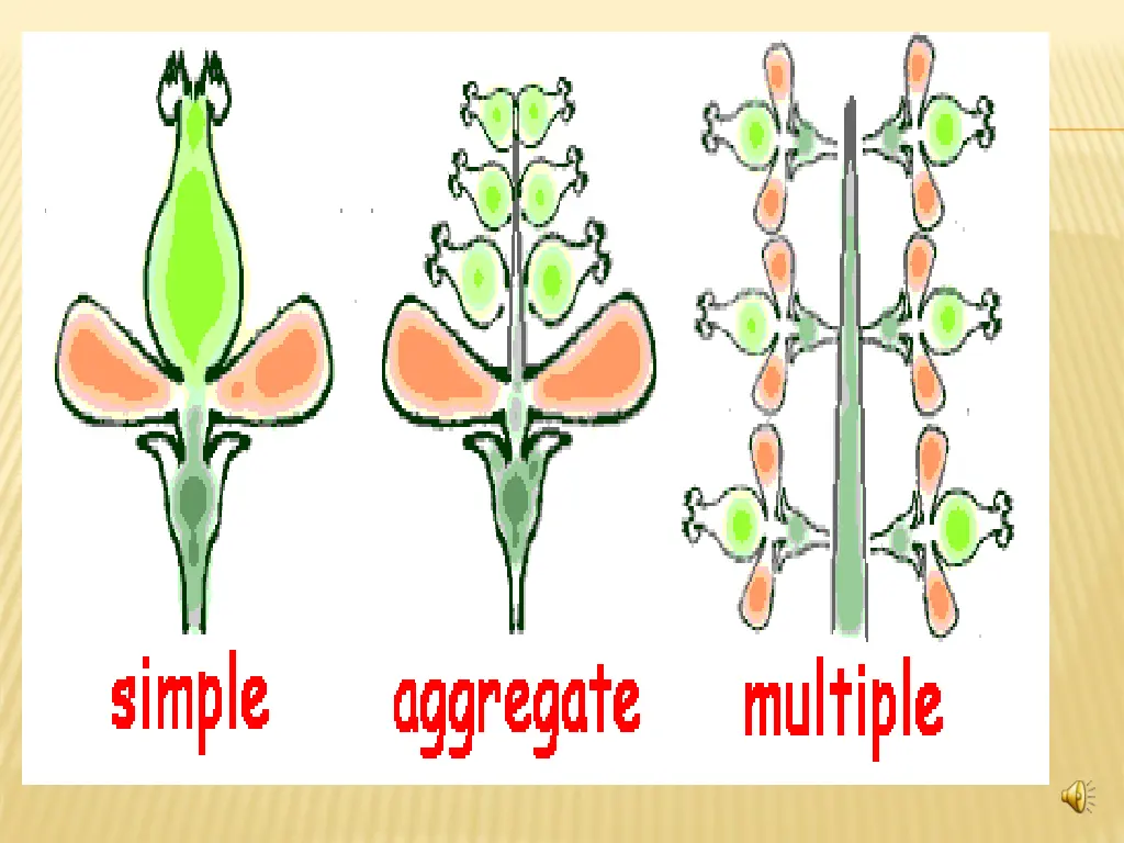 slide29