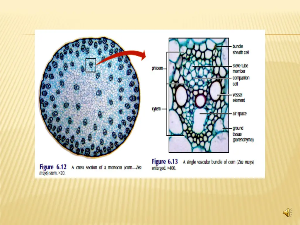 slide9