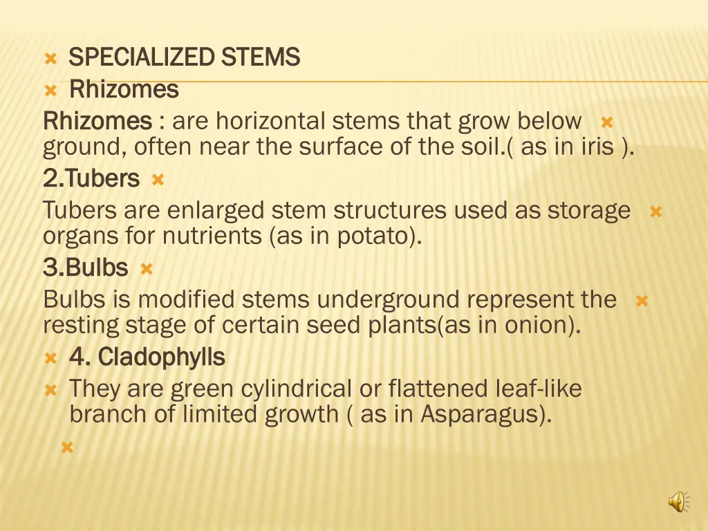 specialized stems specialized stems rhizomes